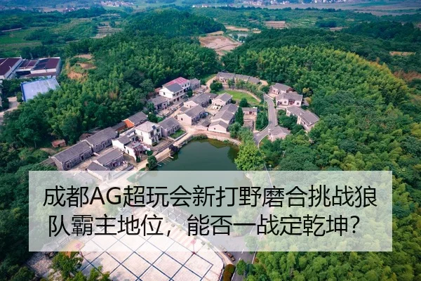 成都AG超玩会新打野磨合挑战狼队霸主地位，能否一战定乾坤？