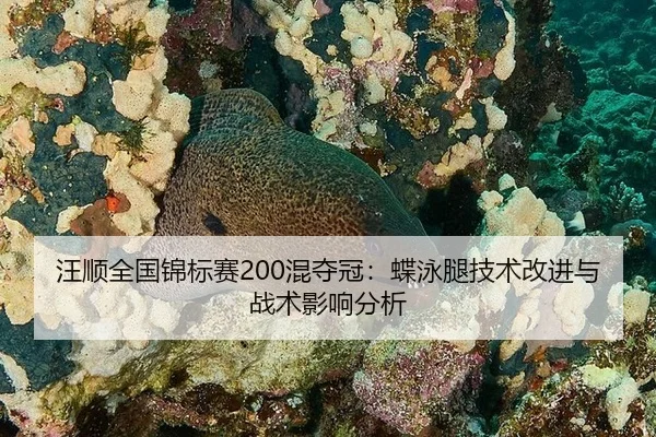 wang-shun-quan-guo-jin-biao-sai-hun-duo-guan-die-yong-tui-ji-shu-gai-jin-yu-zhan-shu-ying-xiang-fen-xi-2-433.jpg