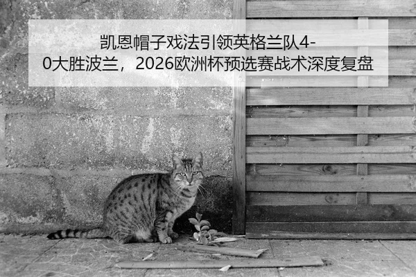凯恩帽子戏法引领英格兰队4-0大胜波兰，2026欧洲杯预选赛战术深度复盘