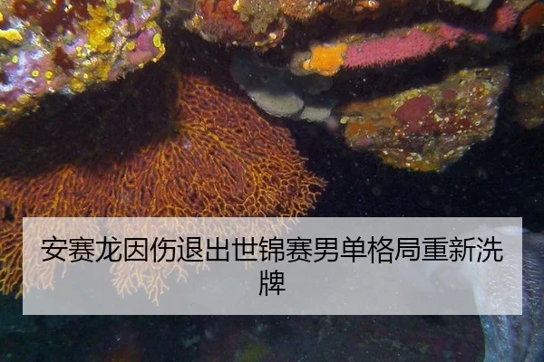 an-sai-long-yin-shang-tui-chu-shi-jin-sai-nan-dan-ge-ju-chong-xin-xi-pai-3-876.jpg