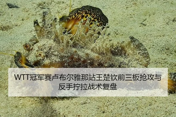 guan-jun-sai-lu-bu-er-ya-na-zhan-wang-chu-qin-qian-san-ban-qiang-gong-yu-fan-shou-ning-la-zhan-shu-fu-pan-3-522.jpg