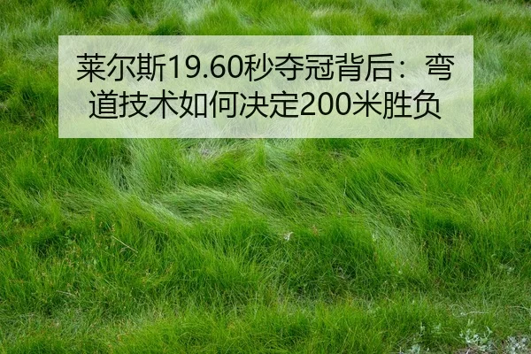 lai-er-si-miao-duo-guan-bei-hou-wan-dao-ji-shu-ru-he-jue-ding-mi-sheng-fu-2-663.jpg